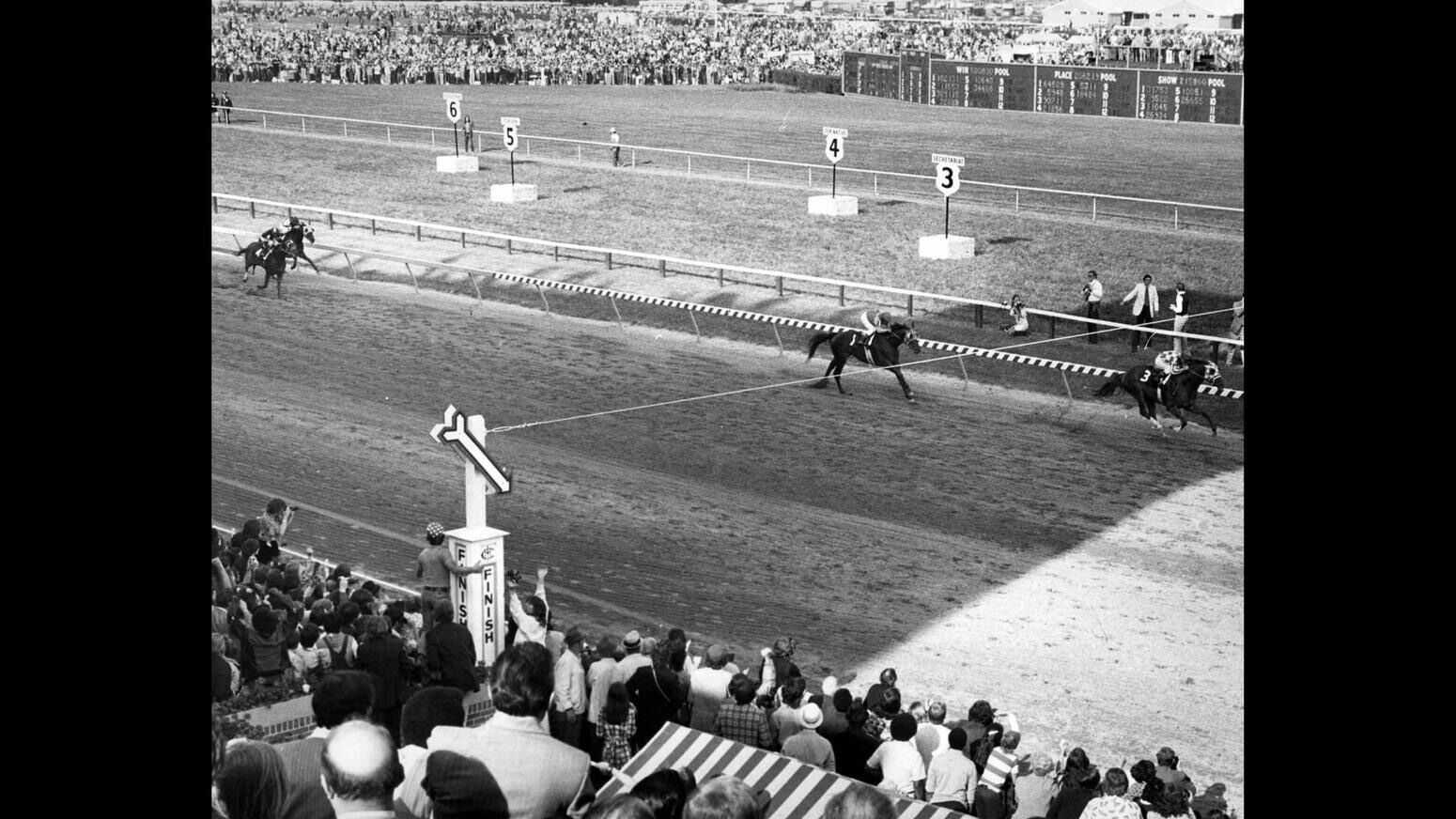 Preakness photos from years past